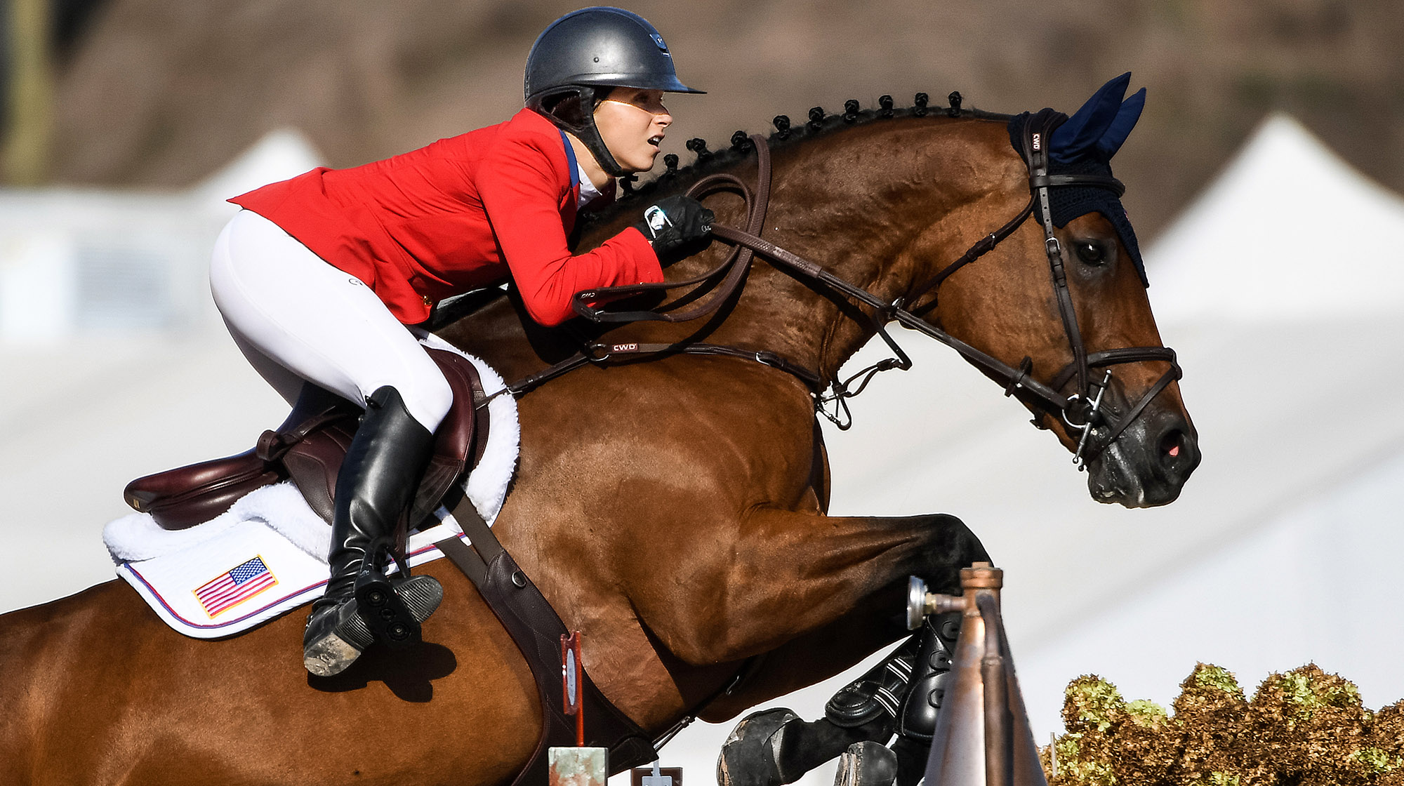 FEI Jumping Rule Changes: Which Hind Boots Are Allowed In 2021 – EquiZone  Online