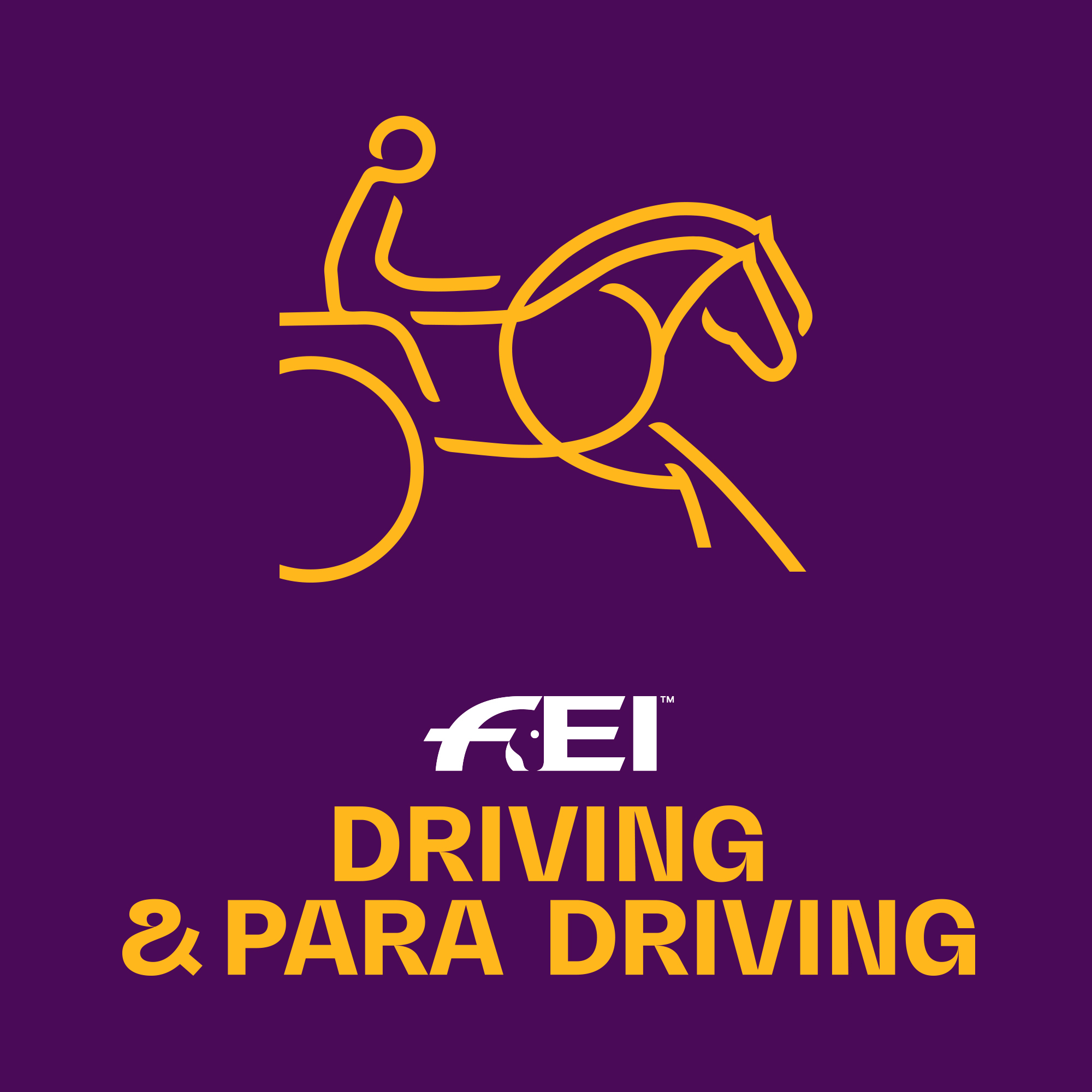 FEI Campus: Driving & Para Driving