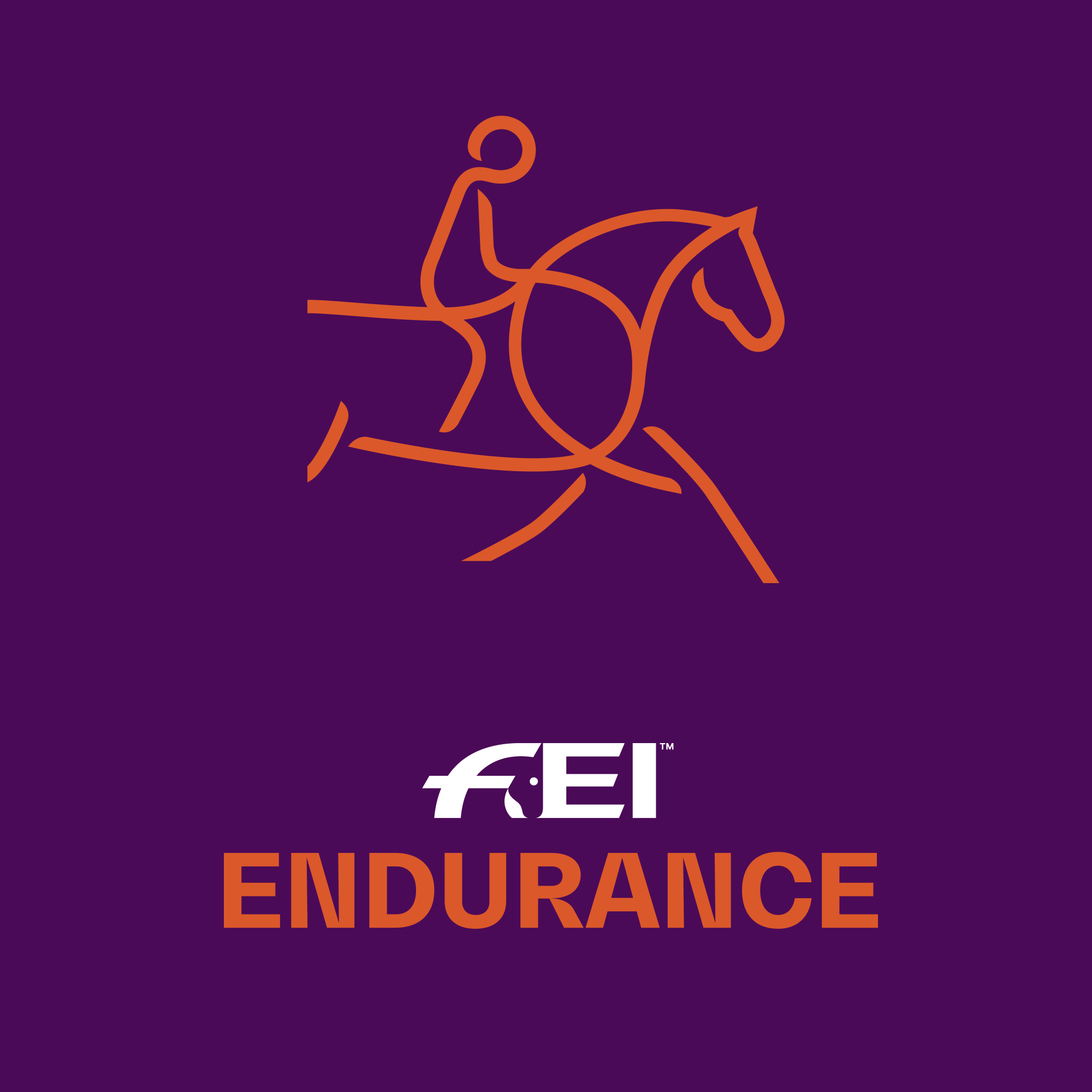 FEI Campus Endurance