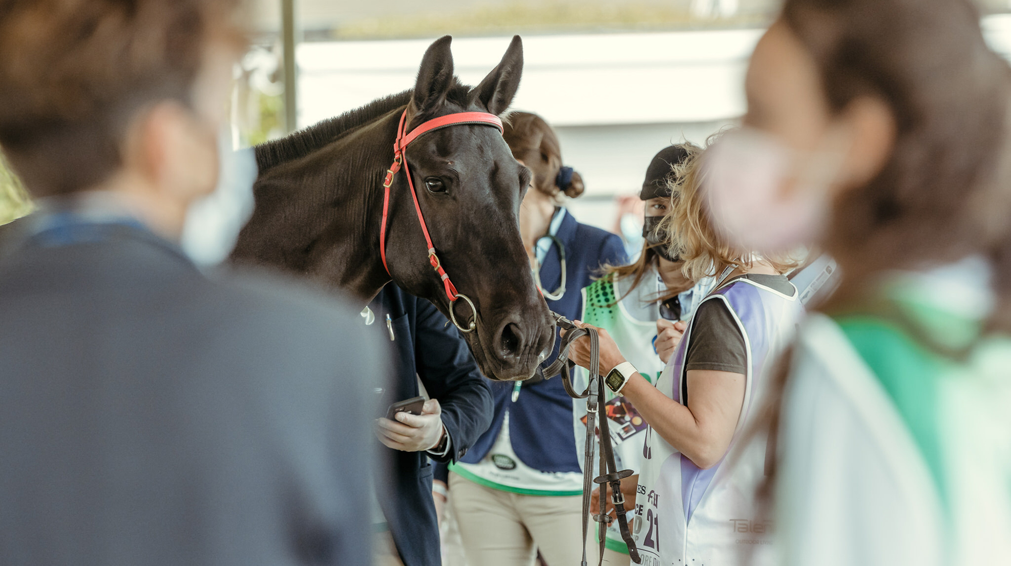 FEI Campus Veterinary